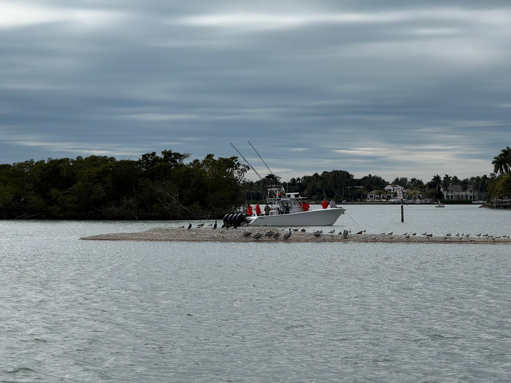 An inshore fishing charter on the calm back bays near Naples, Florida