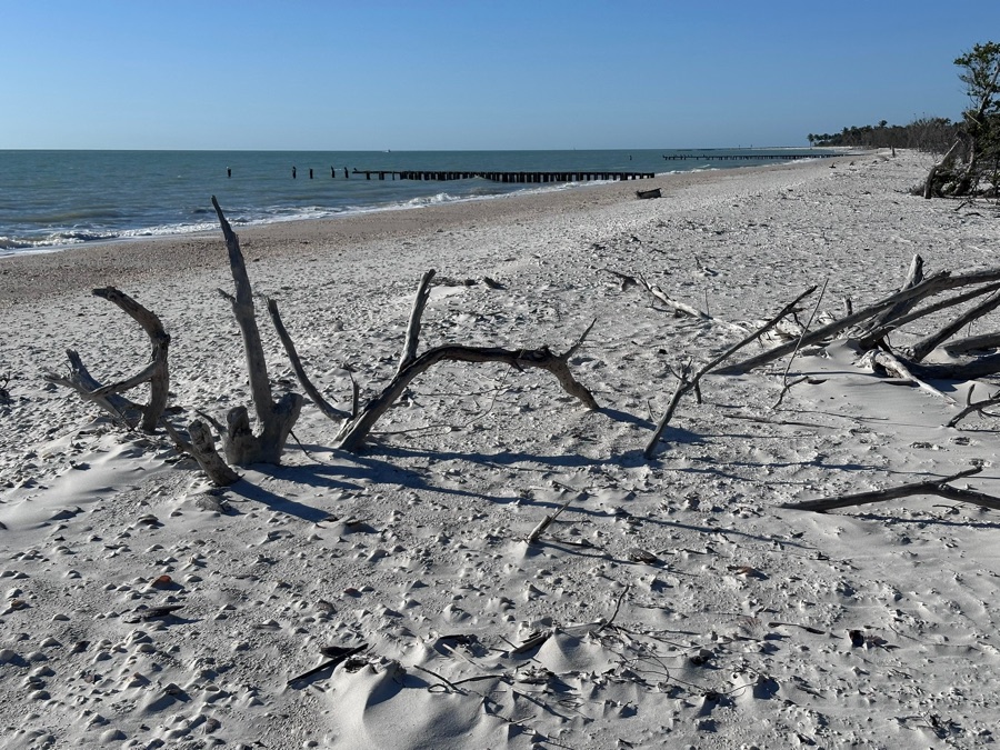 The shore of roadless Keewaydin Island near Naples, reachable only by boat