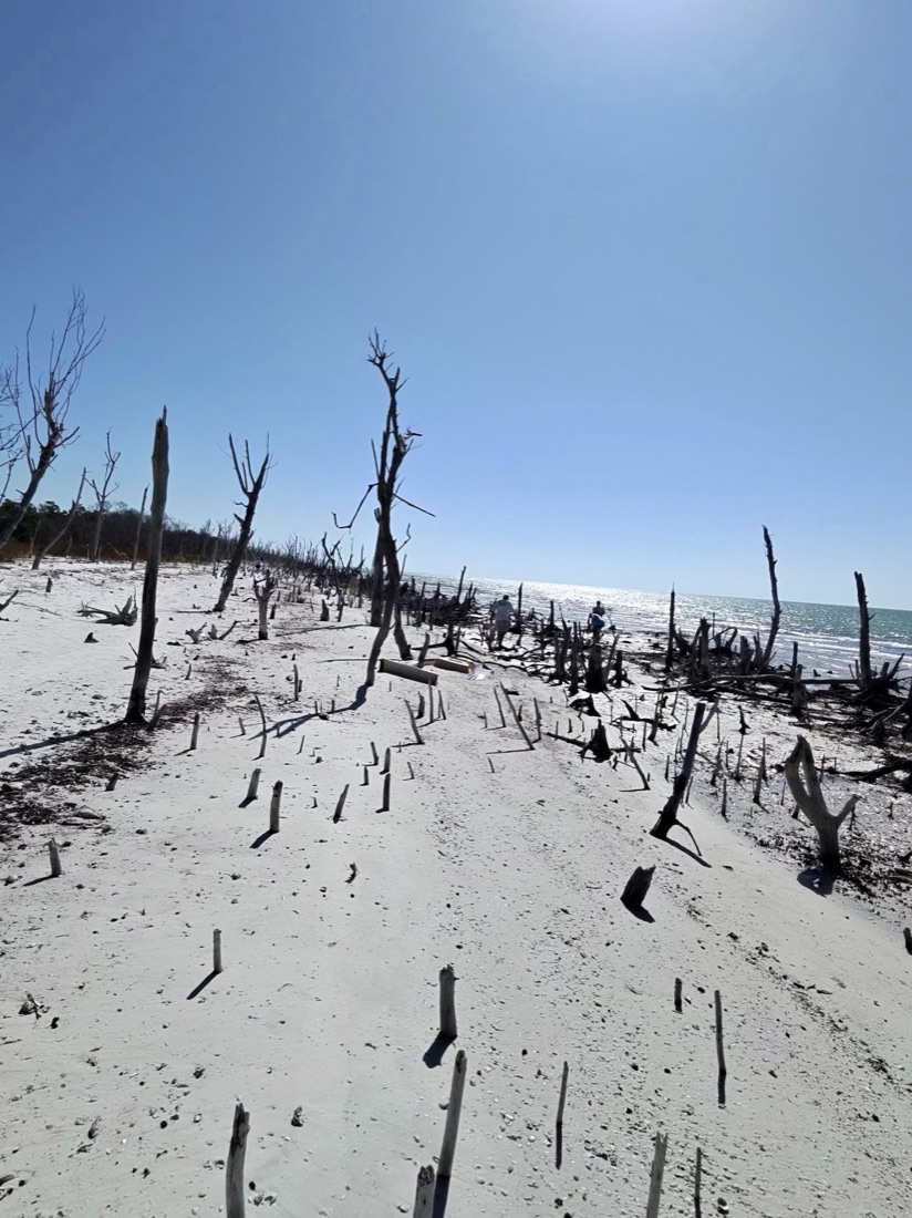 Pristine Gulf islands near Naples, Florida, reachable by boat