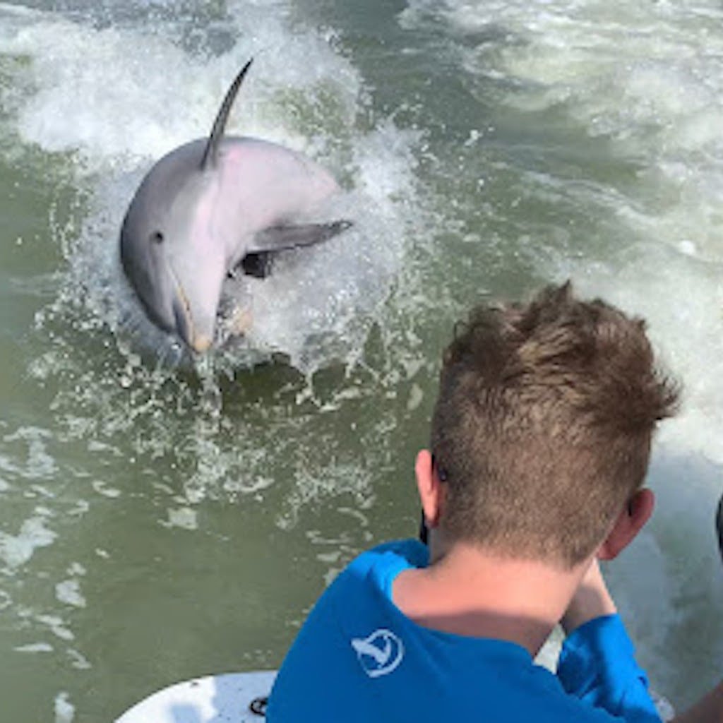 A young guest watching a wild dolphin surface in the boat's wake on a Sand Dollar dolphin tour