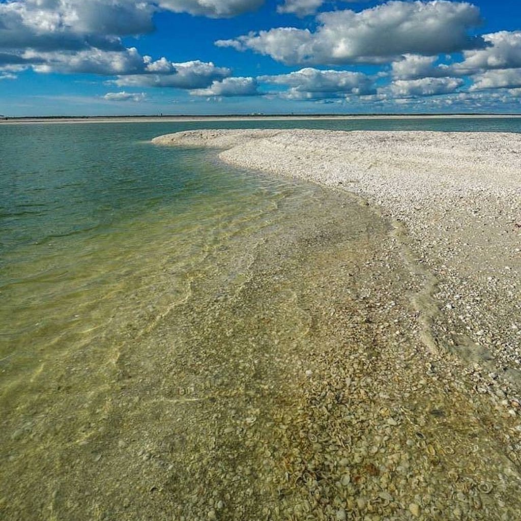 Guests combing a barrier-island beach for shells on a Sand Dollar shelling tour, Marco Island