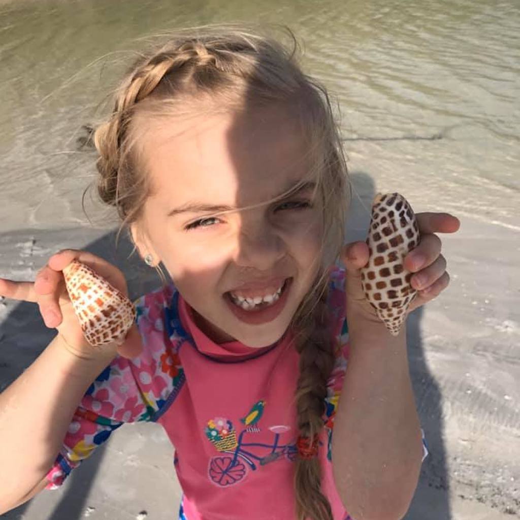 A prized junonia and other rare shells found on a Sand Dollar shelling tour